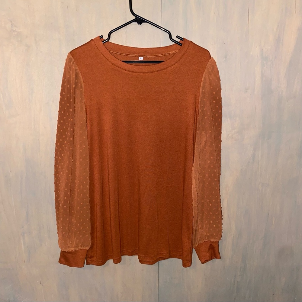 Brown Relaxed Blouse with Long Sheer Sleeves